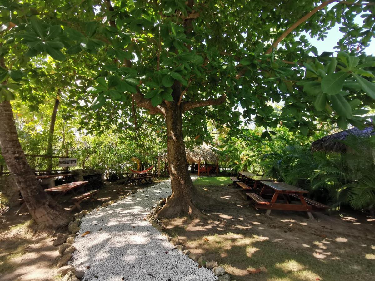 Tropical Villas At Los Corales Beach - Caribbean Rentals Fzco Punta Cana Exterior photo